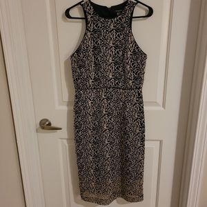 Tahari ASL Lace Midi Dress Size 4
